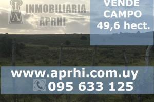 VENTA CAMPO 49,6 Hect. Pan de Azúcar